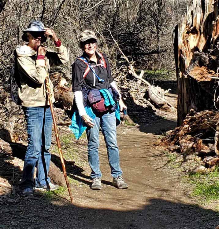 hikers